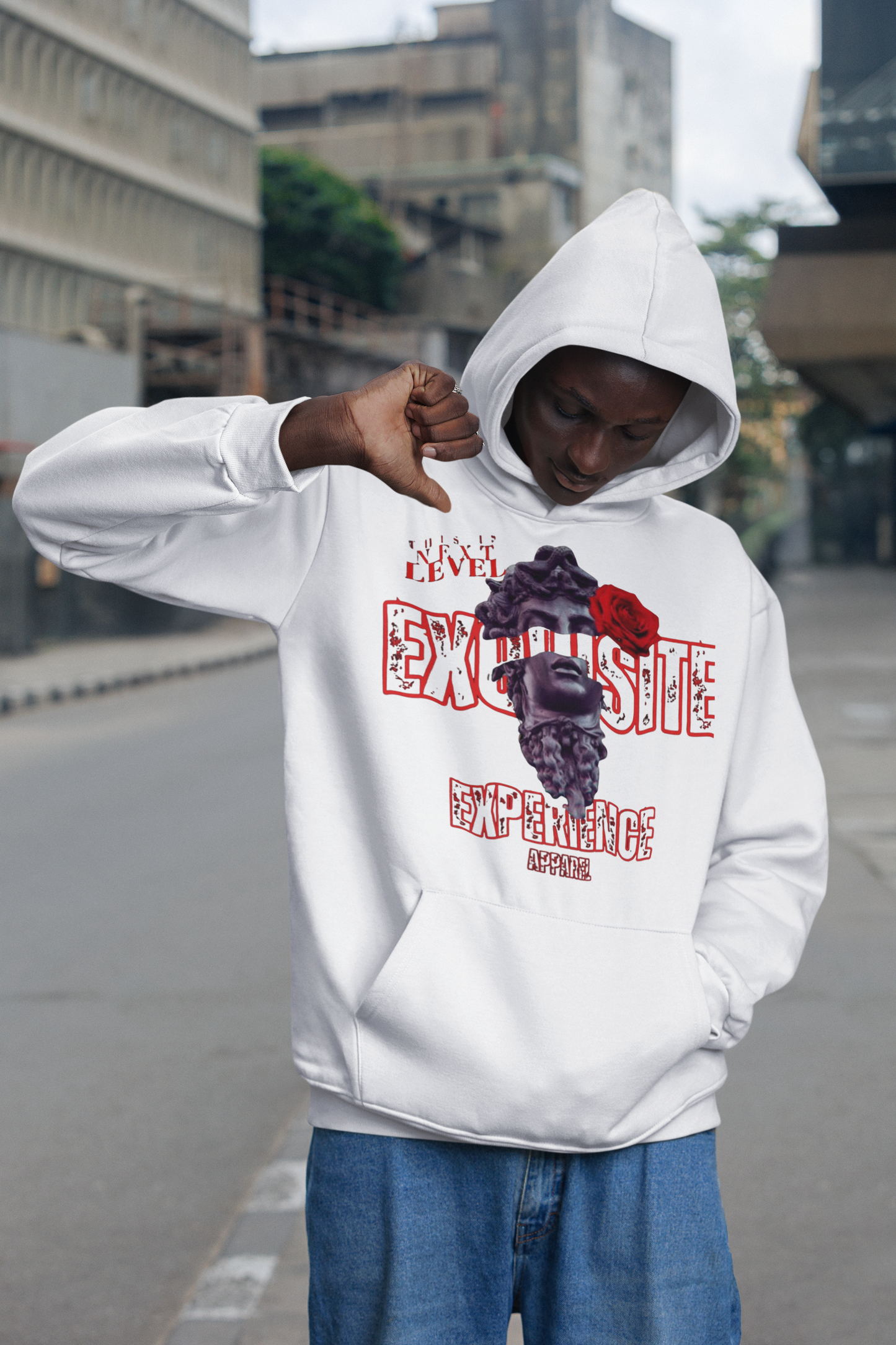 Next Level Exquisite- Hoody