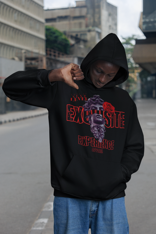 Next Level Exquisite- Hoody
