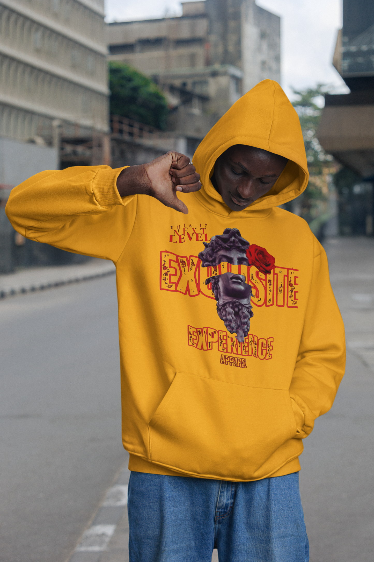 Next Level Exquisite- Hoody