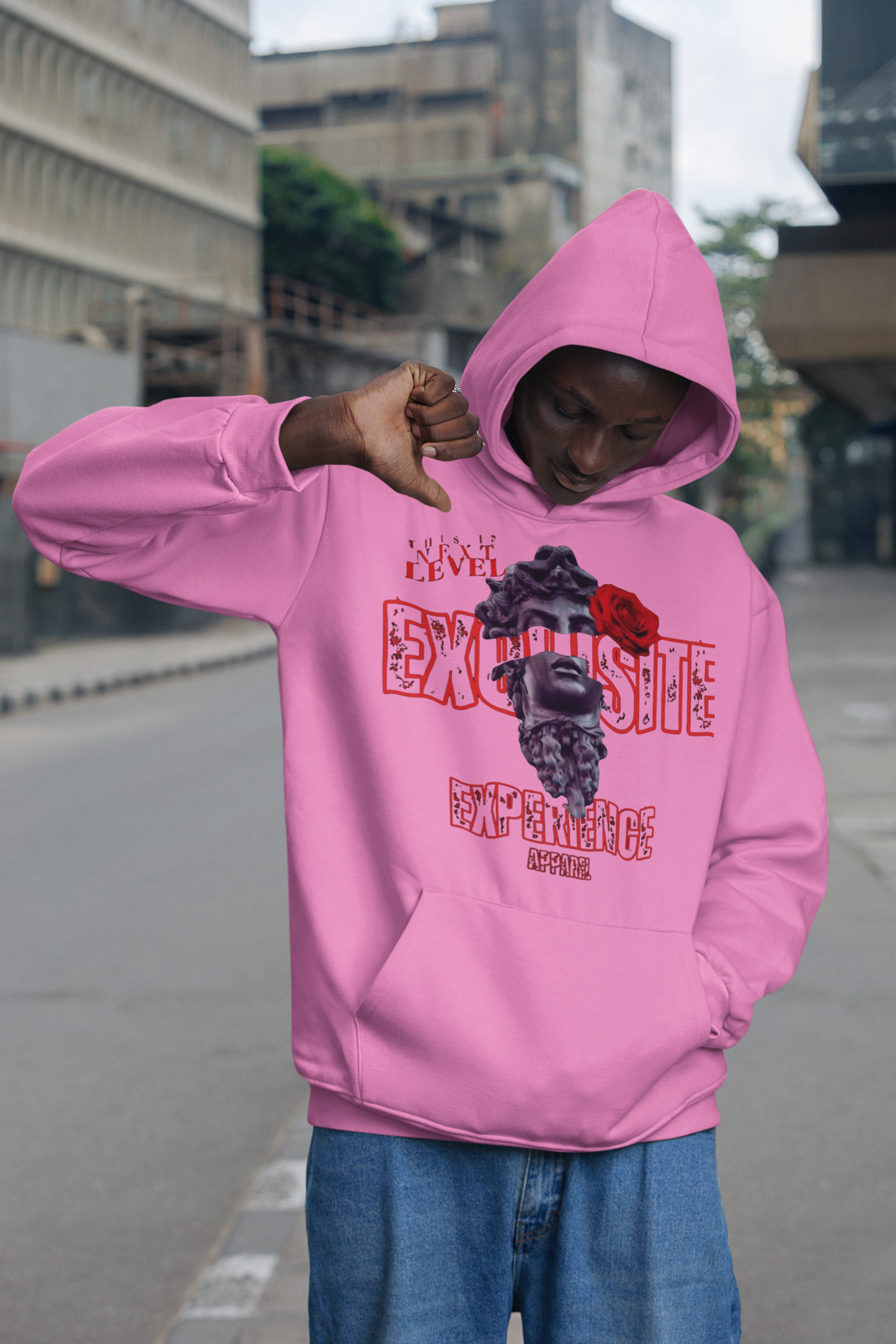 Next Level Exquisite- Hoody
