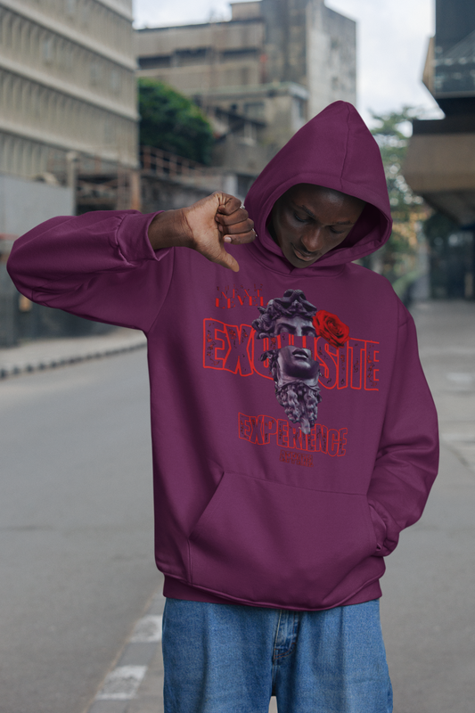 Next Level Exquisite- Hoody 2
